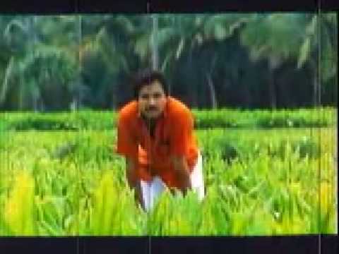nattupura pattu tamil movie mp3 songs